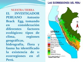 NUESTRA TIERRA EL INVESTIGADOR PERUANO Antonio BrackEgg, tomando en consideración diferentes factores ecológicos: tipos de clima, regiones geográficas, hidrografía, flora y fauna ha identificado la existencia de 11 ecorregiones en el Perú. 