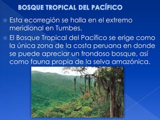  Esta ecorregión se halla en el extremo
  meridional en Tumbes.
 El Bosque Tropical del Pacífico se erige como
  la única zona de la costa peruana en donde
  se puede apreciar un frondoso bosque, así
  como fauna propia de la selva amazónica.
 