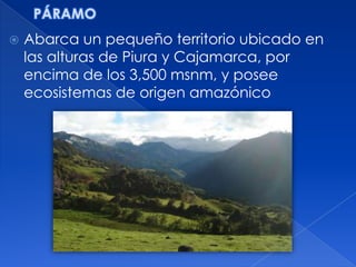    Abarca un pequeño territorio ubicado en
    las alturas de Piura y Cajamarca, por
    encima de los 3,500 msnm, y posee
    ecosistemas de origen amazónico
 