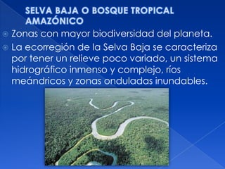  Zonas con mayor biodiversidad del planeta.
 La ecorregión de la Selva Baja se caracteriza
  por tener un relieve poco variado, un sistema
  hidrográfico inmenso y complejo, ríos
  meándricos y zonas onduladas inundables.
 