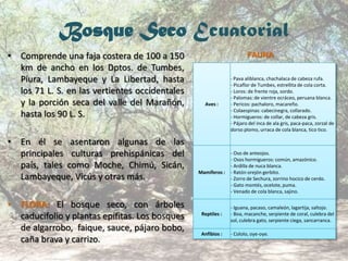 Bosque Seco Ecuatorial
• Comprende una faja costera de 100 a 150
km de ancho en los Dptos. de Tumbes,
Piura, Lambayeque y La Libertad, hasta
los 71 L. S. en las vertientes occidentales
y la porción seca del valle del Marañón,
hasta los 90 L. S.
• En él se asentaron algunas de las
principales culturas prehispánicas del
país, tales como Moche, Chimú, Sicán,
Lambayeque, Vicús y otras más.
• FLORA: El bosque seco, con árboles
caducifolio y plantas epífitas. Los bosques
de algarrobo, faique, sauce, pájaro bobo,
caña brava y carrizo.
Aves :
- Pava aliblanca, chachalaca de cabeza rufa.
- Picaflor de Tumbes, estrellita de cola corta.
- Loros: de frente roja, sordo.
- Palomas: de vientre ocráceo, peruana blanca.
- Pericos: pachaloro, macareño.
- Colaespinas: cabecinegra, collarado.
- Hormigueros: de collar, de cabeza gris.
- Pájaro del inca de ala gris, paca-paca, zorzal de
dorso plomo, urraca de cola blanca, tico tico.
Mamíferos :
- Oso de anteojos.
- Osos hormigueros: común, amazónico.
- Ardilla de nuca blanca.
- Ratón orejón gerbito.
- Zorro de Sechura, zorrino hocico de cerdo.
- Gato montés, ocelote, puma.
- Venado de cola blanca, sajino.
Reptiles :
- Iguana, pacaso, camaleón, lagartija, saltojo.
- Boa, macanche, serpiente de coral, culebra del
sol, culebra gato, serpiente ciega, sancarranca.
Anfibios : - Cololo, oye-oye.
FAUNA
 