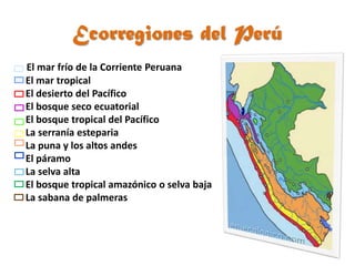 Ecorregiones del Perú
El mar frío de la Corriente Peruana
El mar tropical
El desierto del Pacífico
El bosque seco ecuatorial
El bosque tropical del Pacífico
La serranía esteparia
La puna y los altos andes
El páramo
La selva alta
El bosque tropical amazónico o selva baja
La sabana de palmeras
 