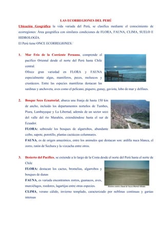 LAS ECORREGIONES DEL PERÚ
Ubicación Geográfica la vida variada del Perú, se clasifica mediante el conocimiento de
ecorregiones: Área geográfica con similares condiciones de FLORA, FAUNA, CLIMA, SUELO E
HIDROLOGÍA.
El Perú tiene ONCE ECORREGIONES:
1. Mar Frío de la Corriente Peruana, comprende el
pacífico Oriental desde el norte del Perú hasta Chile
central.
Ofrece gran variedad en FLORA y FAUNA
especialmente algas, mamíferos, peces, moluscos y
crustáceos. Entre las especies mamíferas destacan las
sardinas y anchoveta, aves como el pelícano, piquero, gunay, gaviota, lobo de mar y delfines.
2. Bosque Seco Ecuatorial, abarca una franja de hasta 150 km
de ancho, incluido los departamentos norteños de Tumbes,
Piura, Lambayeque y La Libertad, además de un sector seco
del valle del río Marañón, extendiéndose hasta el sur de
Ecuador.
FLORA: sobresale los bosques de algarrobos, abundante
ceibo, sapote, porotillo, plantas cactáceas columnares.
FAUNA, es de origen amazónico, entre los animales que destacan son: ardilla nuca blanca, el
zorro, ratón de Sechura y la vizcacha entre otros.
3. Desierto del Pacífico, se extiende a lo largo de la Costa desde el norte del Perú hasta el norte de
Chile
FLORA: destacan los cactus, bromelias, algarrobos y
bosques de dunas
FAUNA, es variada encontramos zorros, guanacos, aves,
murciélagos, roedores, lagartijas entre otras especies.
CLIMA, verano cálido, invierno templado, caracterizado por neblinas continuas y garúas
intensas
 
