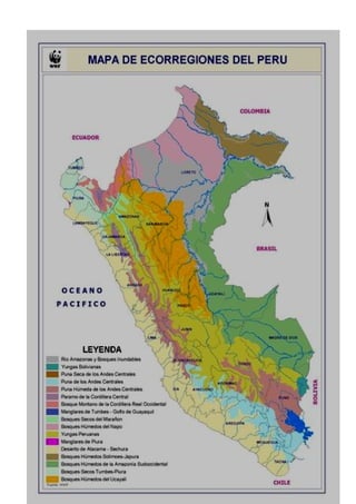 Se extiende a lo largo del flanco occidental andino desde el departamento de la Libertad hasta el
norte de Chile, entre los 1000 y los 3000 metros de altitud. El clima es templado - cálido en las
partes bajas y el templado frío en las partes altas. Las lluvias son veraniegas. La vegetación es
variable, presentándose de tipo xerofítica en las partes bajas, pajonales con arbustos en a parte
media y bosques relictos con arbustos en las partes altas.
7. Ecorregión de la Puna
Se extiende por encima de los 3500 - 3800 m. desde Cajamarca (al sur del paso de Porculla) hasta
Chile y Argentina. EL clima es de tipo frígido hasta los 5000 y de tipo nival o gélido por encima
de esa altitud. La formación vegetal más importante son los pajonales o pastizales naturales de
gramíneas, con plantas almohadilladas, bofedales, bosques relictos. Son muy frecuentes los lagos
y lagunas (más de 12000)
8. Ecorregión del Páramo
Se extiende desde Venezuela hasta el norte del Perú en las alturas andinas por encima de los 3500
m. El clima es de tipo frío muy húmedo, nublado y con altas precipitaciones. La vegetación
predominante son los pajonales, con arbustos y bosques enanos. La fauna es de tipo amazónica.
Es la ecorregión menos conocida y estudiada del país.
9. Ecorregión de la Selva Alta
Se extiende por todo el flanco oriental andino desde el norte de Argentina hasta Venezuela. En el
Perú esta ecorregión llega a alcanzar a la vertiente del Pacífico a través de las cuencas altas de los
ríos Jequetepeque, Zaña, La Leche, Chira y Piura. El clima es semi cálido en las partes bajas y
frías en las partes altas. Se distinguen tres pisos altitudinales: el bosque de lluvias, el bosque de
neblina y el bosque enano, en el límite con la Puna y el Páramo
10. Ecorregión del Bosque Tropical Amazónico o Selva Baja
Comprende la amazonía por debajo de los 800 m. de altitud y es la ecorregión más extensa del
país. El clima es cálido y húmedo. Los ríos son abundantes e inundan extensas áreas de bosques
durante la época de crecientes. La vegetación es heterogénea, distinguiéndose bosques
inundables, aguajales, bosques de ladera, etc. La fauna es rica y variada.
11. Ecorregión de la Sabana del Palmeras
En Sudamérica es muy extensa, localizándose en el este de Bolivia, en Paraguay y Argentina. El
clima es cálido y húmedo con lluvias veraniegas y una estación seca entre mayo y octubre. Las
formaciones vegetales presentes son los aguajales (a lo largo de los ríos), matorrales y pastizales.
 