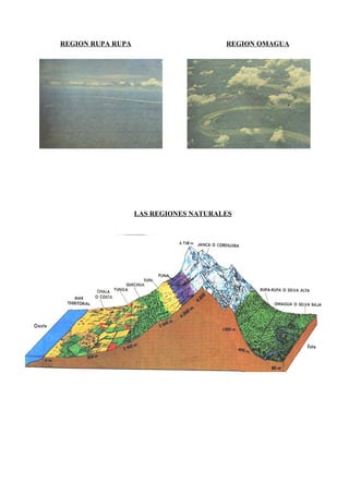 REGION RUPA RUPA REGION OMAGUA
LAS REGIONES NATURALES
 