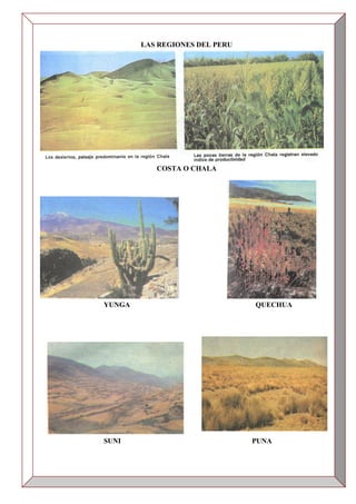 LAS REGIONES DEL PERU
COSTA O CHALA
YUNGA QUECHUA
SUNI PUNA
 