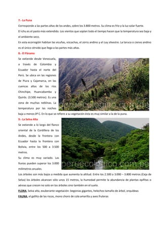 7.- La Puna
Corresponde a las partes altas de los andes, sobre los 3.800 metros. Su clima es frío y la luz solar fuerte.
El ichu es el pasto más extendido. Los vientos que soplan todo el tiempo hacen que la temperatura sea baja y
el ambiente seco.
En esta ecorregión habitan las vicuñas, vizcachas, el zorro andino y el cuy silvestre. La taruca o ciervo andino
es el único cérvido que llega a las partes más altas.
8.- El Páramo
Se extiende desde Venezuela,
a través de Colombia y
Ecuador hasta el norte del
Perú. Se ubica en las regiones
de Piura y Cajamarca, en las
cuencas altas de los ríos
Chinchipe, Huancabamba y
Quirós. (3.500 metros). Es una
zona de muchas neblinas. La
temperatura por las noches
baja a menos 0º C. En lo que se refiere a su vegetación ésta es muy similar a la de la puna.
9.- La Selva Alta
Se extiende a lo largo del flanco
oriental de la Cordillera de los
Andes, desde la frontera con
Ecuador hasta la frontera con
Bolivia, entre los 500 a 3.500
metros.
Su clima es muy variado. Las
lluvias pueden superar los 3.000
milímetros anuales.
Los árboles son más bajos a medida que aumenta la altitud. Entre los 2.500 a 3.000 – 3.800 metros (Ceja de
Selva) los árboles alcanzan sólo unos 15 metros, la humedad permite la abundancia de plantas epífitas o
aéreas que crecen no solo en los árboles sino también en el suelo.
FLORA, Selva alta, exuberante vegetación: begonias gigantes, helechos tamaño de árbol, orquídeas
FAUNA, el gallito de las rocas, mono choro de cola amarilla y aves fruteras
 
