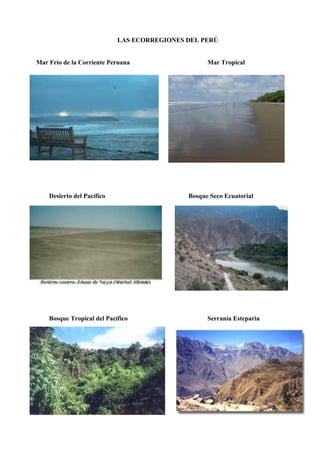 LAS ECORREGIONES DEL PERÚ
Mar Frío de la Corriente Peruana Mar Tropical
Desierto del Pacífico Bosque Seco Ecuatorial
Bosque Tropical del Pacífico Serranía Esteparia
 