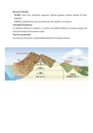 Recursos Naturales
FLORA, Selva alta, exuberante vegetación: begonias gigantes, helechos tamaño de árbol,
orquídeas
FAUNA, el gallito de las rocas, mono choro de cola amarilla y aves fruteras
Actividades Productivas
La industria cafetelera, la maderera, y la pesca, acá también hallamos el comercio porque está
cerca de la frontera con los países vecinos.
Vías de Comunicación
Las carreteras son escasas, siendo fundamentalmente la navegación lacustre.
 