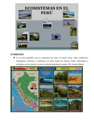 ECORREGIÓN
 Es un área geográfica que se caracteriza por tener el mismo clima, suelo, condiciones
hidrológicas, florísticas y faunísticas. Es decir donde los factores medio ambientales o
ecológicos son los mismos y están en estrecha dependencia (según el Dr. Antonio Brack).
 