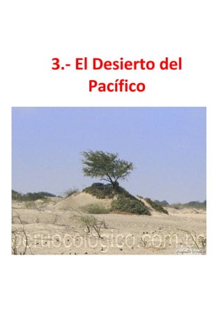 3.- El Desierto del
Pacífico
 