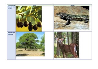 ECORREGION FLORA FAUNA
Desierto del
Pacífico
Bosque Seco
Ecuatorial
 