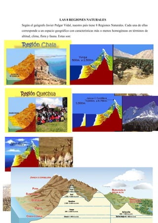 LAS 8 REGIONES NATURALES
Según el geógrafo Javier Pulgar Vidal, nuestro país tiene 8 Regiones Naturales. Cada una de ellas
corresponde a un espacio geográfico con características más o menos homogéneas en términos de
altitud, clima, flora y fauna. Estas son:
 