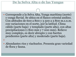 De la Selva Alta o de las YungasCorresponde a la Selva Alta, Yunga marítima (norte) y yunga fluvial. Se ubica en el flanco oriental andino. Con altitudes de 600 a 800 y 3 500 a 3 800 m.s.n.m. con variaciones en el norte, por la latitud. Clima cálido (parte baja)  y templado (parte alta), con altas precipitaciones (1 800 mm y 7 000 mm). Relieve muy complejo, es decir abrupto y con fuertes pendientes (parte alta) y moderado (parte baja). Abundantes ríos y riachuelos. Presenta gran variedad de flora y fauna.