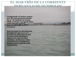EL MAR FRÍO DE LA CORRIENTE PERUANA O DE HUMBOLDTComprende el sector centro sur del mar peruano desde los 5º de latitud sur hasta Chile central. Las aguas frías entre los 13º a 14º C (invierno) y 15º a 17º C (verano). Esto permite la abundancia del placton que a su vez permite la abundancia del recurso hidrobiológico (peces con más de 300 especies, moluscos, aves, mamíferos y crustáceos). Anchoveta la especie más importante.