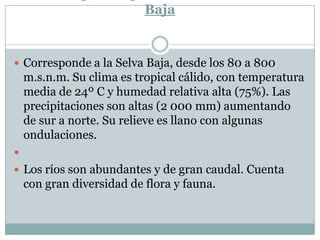 Del Bosque Tropical Amazónico o Selva BajaCorresponde a la Selva Baja, desde los 80 a 800 m.s.n.m. Su clima es tropical cálido, con temperatura media de 24º C y humedad relativa alta (75%). Las precipitaciones son altas (2 000 mm) aumentando de sur a norte. Su relieve es llano con algunas ondulaciones. Los ríos son abundantes y de gran caudal. Cuenta con gran diversidad de flora y fauna.