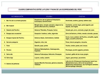 ECOSISTEMAS EN EL PERU