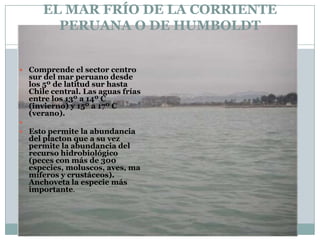 EL MAR FRÍO DE LA CORRIENTE PERUANA O DE HUMBOLDTComprende el sector centro sur del mar peruano desde los 5º de latitud sur hasta Chile central. Las aguas frías entre los 13º a 14º C (invierno) y 15º a 17º C (verano). Esto permite la abundancia del placton que a su vez permite la abundancia del recurso hidrobiológico (peces con más de 300 especies, moluscos, aves, mamíferos y crustáceos). Anchoveta la especie más importante.