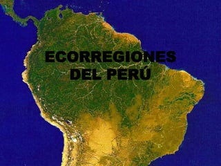 ECORREGIONES
  DEL PERÚ




               1
 