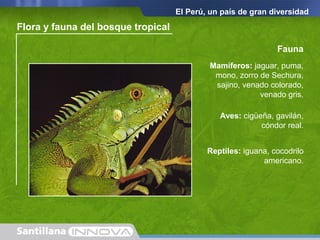 Flora
Tupido bosque de
árboles y un denso
sotobosque.
Otras formaciones
vegetales: epífitas
(bromelias y orquídeas),
lianas y especies
caducifolias.
Flora y fauna del bosque tropical
Fauna
Mamíferos: jaguar, puma,
mono, zorro de Sechura,
sajino, venado colorado,
venado gris.
Aves: cigüeña, gavilán,
cóndor real.
Reptiles: iguana, cocodrilo
americano.
El Perú, un país de gran diversidad
 