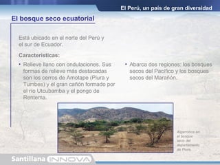 El Perú, un país de gran diversidad
El bosque seco ecuatorial
Está ubicado en el norte del Perú y
el sur de Ecuador.
• Relieve llano con ondulaciones. Sus
formas de relieve más destacadas
son los cerros de Amotape (Piura y
Tumbes) y el gran cañón formado por
el río Utcubamba y el pongo de
Rentema.
Características:
Algarrobos en
el bosque
seco del
departamento
de Piura.
• Abarca dos regiones: los bosques
secos del Pacífico y los bosques
secos del Marañón.
 