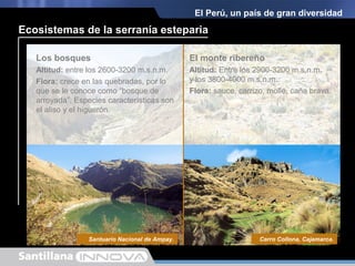 El Perú, un país de gran diversidad
Ecosistemas de la serranía esteparia
La estepa
Altitud: entre los 1400-1600 m.s.n.m. y
los 2400-2600 m.s.n.m.
Flora: vegetación caducifolia (mito y
huanarpo). También se encuentran
especies de achupallas y la cabuya.
Fauna: guanaco y venado gris; aves
como la perdiz serrana, la tortolita
peruana y la cascabelita.
El semidesierto
Altitud: entre los 1000 y los
1400-1600 m.s.n.m.
Flora: vegetación xerófita y cactácea.
Fauna: mamíferos (muca-muca,
murciélagos, ratones, vizcachas,
zorro andino, gato andino).
Reserva Nacional de Calipuy.Cañón de Cotahuasi.
Santuario Nacional de Ampay.
Los bosques
Altitud: entre los 2600-3200 m.s.n.m.
Flora: crece en las quebradas, por lo
que se le conoce como “bosque de
arroyada”. Especies características son
el aliso y el higuerón.
Cerro Collona, Cajamarca.
El monte ribereño
Altitud: Entre los 2900-3200 m.s.n.m.
y los 3800-4000 m.s.n.m.
Flora: sauce, carrizo, molle, caña brava.
 