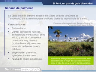 Además de albergar especies amazónicas, este
ecosistema es el hogar de especies endémicas
como el lobo de crin y el ciervo de los pantanos.
El Perú, un país de gran diversidad
Sabana de palmeras
Se ubica entre el extremo sudeste de Madre de Dios (provincia de
Tambopata) y el extremo noreste de Puno (parte de la provincia de Sandia).
Características:
• Relieve llano.
• Clima: semicálido húmedo.
Temperatura media anual entre
los 20 y los 23 º
C. Presenta
una época muy húmeda
(noviembre-abril) y otra con
ausencia de lluvias (mayo-
octubre).
• Vegetación: palmeras,
aguajales y matorrales.
• Fauna de origen amazónico.
Paisaje de sabana de palmeras. Santuario Nacional de
Pampas del Heath, Madre de Dios.
 