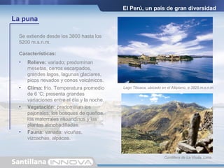 El Perú, un país de gran diversidad
La puna
Se extiende desde los 3800 hasta los
5200 m.s.n.m.
Características:
• Relieve: variado; predominan
mesetas, cerros escarpados,
grandes lagos, lagunas glaciares,
picos nevados y conos volcánicos.
Cordillera de La Viuda, Lima.
Lago Titicaca, ubicado en el Altiplano, a 3825 m.s.n.m.• Clima: frío. Temperatura promedio
de 6 º
C; presenta grandes
variaciones entre el día y la noche.
• Vegetación: predominan los
pajonales, los bosques de queñoa,
los matorrales altoandinos y las
plantas almohadilladas.
• Fauna: variada; vicuñas,
vizcachas, alpacas.
 