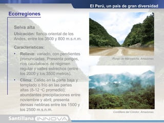 El Perú, un país de gran diversidad
Ecorregiones
Ubicación: flanco oriental de los
Andes, entre los 3500 y 800 m.s.n.m.
Características:
• Relieve: variado, con pendientes
pronunciadas. Presenta pongos,
ríos caudalosos de régimen
regular y valles estrechos (entre
los 2000 y los 3500 metros).
Selva alta
Pongo de Manseriche, Amazonas.
Cordillera del Cóndor, Amazonas.
• Clima: Cálido en la parte baja y
templado o frío en las partes
altas (8-12 o
C promedio);
abundantes precipitaciones entre
noviembre y abril; presenta
densas neblinas entre los 1500 y
los 2500 m.s.n.m.
 
