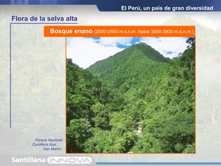 Valle del Alto Mayo, San Martín.
Bosque de lluvia (600-650 m.s.n.m. hasta 1300-1400 m.s.n.m.)
Parque Nacional Río Abiseo, San Martín.
Bosque de neblina (1300-1400 m.s.n.m. hasta 2500-2550 m.s.n.m.)
El Perú, un país de gran diversidad
Flora de la selva alta
Parque Nacional
Cordillera Azul,
San Martín.
Bosque enano (2500-2550 m.s.n.m. hasta 3000-3800 m.s.n.m.)
 