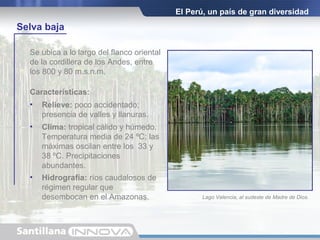 El Perú, un país de gran diversidad
Selva baja
Se ubica a lo largo del flanco oriental
de la cordillera de los Andes, entre
los 800 y 80 m.s.n.m.
Características:
• Relieve: poco accidentado;
presencia de valles y llanuras.
• Hidrografía: ríos caudalosos de
régimen regular que
desembocan en el Amazonas.
• Clima: tropical cálido y húmedo.
Temperatura media de 24 ºC; las
máximas oscilan entre los 33 y
38 ºC. Precipitaciones
abundantes.
Lago Valencia, al sudeste de Madre de Dios.
 
