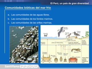 El Perú, un país de gran diversidad
a. Las comunidades de las aguas libres.
Comunidades bióticas del mar frío
b. Las comunidades de los fondos marinos.
c. Las comunidades de las orillas marinas.
Antonio Brack
y Cecilia
Mendiola,
Ecología del
Perú.
 