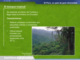 El Perú, un país de gran diversidad
Se extiende al interior de Tumbes y
llega hasta la frontera con Ecuador.
El bosque tropical
Características:
• Relieve ondulado conformado por
pequeñas colinas y numerosas
quebradas.
• Clima tropical
húmedo con
temperaturas
superiores a los
25 °C.
Zona reservada
de Tumbes.
 