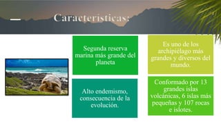Características:
Es uno de los
archipiélago más
grandes y diversos del
mundo.
Conformado por 13
grandes islas
volcánicas, 6 islas más
pequeñas y 107 rocas
e islotes.
Segunda reserva
marina más grande del
planeta
Alto endemismo,
consecuencia de la
evolución.
 