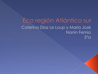 Eco región Atlántico sur  Caterina Diaz Le Loup y María José NaninFemia 5ºa  