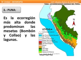 Es la ecorregión
más alta donde
predominan las
mesetas (Bombón
y Collao) y las
lagunas.
3.- PUNA:
TEMA: «ECORREGIONES ANDINAS DEL PERÚ»
IV- Unidad : GEOGRAFÍA I.E.P «Nuestra Señora de Guadalupe»