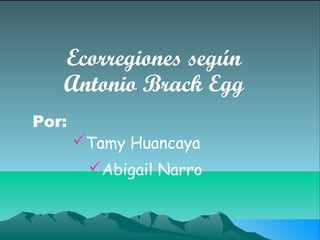 Ecorregiones según
   Antonio Brack Egg
Por:
       Tamy Huancaya
        Abigail Narro
 