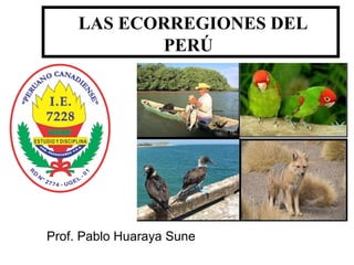LAS ECORREGIONES DEL
PERÚ
Prof. Pablo Huaraya Sune
 