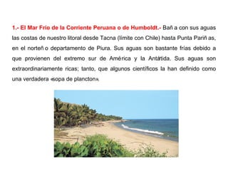 1.- El Mar Frío de la Corriente Peruana o de Humboldt.- Bañ a con sus aguas
las costas de nuestro litoral desde Tacna (límite con Chile) hasta Punta Pariñ as,
en el norteñ o departamento de Piura. Sus aguas son bastante frías debido a
que provienen del extremo sur de América y la Antártida. Sus aguas son
extraordinariamente ricas; tanto, que algunos científicos la han definido como
una verdadera «sopa de plancton».
 