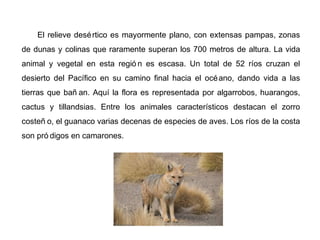 El relieve desértico es mayormente plano, con extensas pampas, zonas
de dunas y colinas que raramente superan los 700 metros de altura. La vida
animal y vegetal en esta regió n es escasa. Un total de 52 ríos cruzan el
desierto del Pacífico en su camino final hacia el océano, dando vida a las
tierras que bañ an. Aquí la flora es representada por algarrobos, huarangos,
cactus y tillandsias. Entre los animales característicos destacan el zorro
costeñ o, el guanaco varias decenas de especies de aves. Los ríos de la costa
son pró digos en camarones.
 