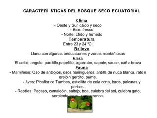 CARACTERÍ STICAS DEL BOSQUE SECO ECUATORIAL
Clima
- Oeste y Sur: cálido y seco
- Este: fresco
- Norte: cálido y húmedo
Temperatura
Entre 23 y 24 ºC.
Relieve
Llano con algunas ondulaciones y zonas montañ osas
Flora
El ceibo, angolo, parotillo,papelillo, algarrobo, sapote, sauce, cañ a brava
Fauna
- Mamiferos: Oso de anteojos, osos hormigueros, ardilla de nuca blanca, rató n
orejó n gerbito, puma.
- Aves: Picaflor de Tumbes, estrellita de cola corta, loros, palomas y
pericos.
- Reptiles: Pacaso, camaleó n, saltojo, boa, culebra del sol, culebra gato,
serpiente ciega, sancarranca.
 