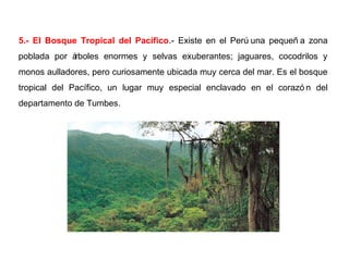 5.- El Bosque Tropical del Pacífico.- Existe en el Perú una pequeñ a zona
poblada por árboles enormes y selvas exuberantes; jaguares, cocodrilos y
monos aulladores, pero curiosamente ubicada muy cerca del mar. Es el bosque
tropical del Pacífico, un lugar muy especial enclavado en el corazó n del
departamento de Tumbes.
 