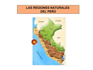 LAS REGIONES NATURALES
DEL PERÚ
LAS REGIONES NATURALES
DEL PERÚ
 