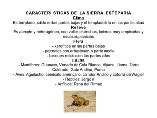 CARACTERÍ STICAS DE LA SIERRA ESTEPARIACARACTERÍ STICAS DE LA SIERRA ESTEPARIA
Clima
Es templado, cálido en las partes bajas y el templado frío en las partes altas
Relieve
Es abrupto y heterogéneo, con valles estrechos, laderas muy empinadas y
escasas planicies
Flora
- xerofítica en las partes bajas
- pajonales con arbustosen a parte media
- bosques relictos en las partes altas
Fauna
- Mamíferos: Guanaco, Venado de Cola Blanca, Alpaca, Llama, Zorro
Colorado, Gato Andino, Puma
- Aves: Aguilucho, cernícalo americano, có ndor Andino y cotorra de Wagler
- Reptiles: Jergó n
- Anfibios: Rana del Rímac
 