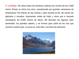 7.- La Puna.- Se ubica sobre los territorios andinos por encima de los 3.800
msnm. Posee un clima muy duro, caracterizado por grandes variaciones de
temperatura: frío intenso en las noches y calor durante el día. Se ubican los
glaciares y nevados, imponentes moles de hielo y nieve que a menudo
sobrepasan los 6.000 metros de altura. Allí abundan las lagunas color
esmeralda, los grandes salares, y se forman gran parte de los ríos que
recorren nuestro país. La puna es, ante todo, una tierra de extremos.
 