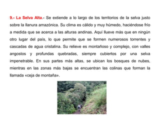 9.- La Selva Alta.- Se extiende a lo largo de los territorios de la selva justo
sobre la llanura amazónica. Su clima es cálido y muy húmedo, haciéndose frío
a medida que se acerca a las alturas andinas. Aquí llueve más que en ningún
otro lugar del país, lo que permite que se formen numerosos torrentes y
cascadas de agua cristalina. Su relieve es montañoso y complejo, con valles
angostos y profundas quebradas, siempre cubiertos por una selva
impenetrable. En sus partes más altas, se ubican los bosques de nubes,
mientras en las zonas más bajas se encuentran las colinas que forman la
llamada «ceja de montaña».
 