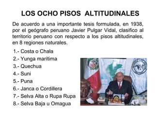 De acuerdo a una importante tesis formulada, en 1938,
por el geógrafo peruano Javier Pulgar Vidal, clasifico al
territorio peruano con respecto a los pisos altitudinales,
en 8 regiones naturales.
1.- Costa o Chala
2.- Yunga marítima
3.- Quechua
4.- Suni
5.- Puna
6.- Janca o Cordillera
7.- Selva Alta o Rupa Rupa
8.- Selva Baja u Omagua
LOS OCHO PISOS ALTITUDINALES
 