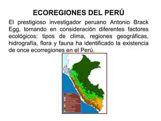 El prestigioso investigador peruano Antonio Brack
Egg, tomando en consideración diferentes factores
ecológicos: tipos de clima, regiones geográficas,
hidrografía, flora y fauna ha identificado la existencia
de once ecorregiones en el Perú.
ECOREGIONES DEL PERÚ
 