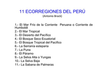 11 ECORREGIONES DEL PERÚ
(Antonio Brack)
1.- El Mar Frío de la Corriente Peruana o Corriente de
Humboldt
2.- El Mar Tropical
3.- El Desierto del Pacífico
4.- El Bosque Seco Ecuatorial
5.- El Bosque Tropical del Pacífico
6.- La Serranía esteparia
7.- La Puna
8.- El Páramo
9.- La Selva Alta o Yungas
10.- La Selva Baja
11.- La Sabana de Palmeras
 