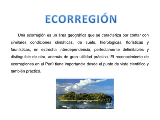 Una ecorregión es un área geográfica que se caracteriza por contar con
similares condiciones climáticas, de suelo, hidrológicas, florísticas y
faunísticas, en estrecha interdependencia, perfectamente delimitables y
distinguible de otra, además de gran utilidad práctica. El reconocimiento de
ecorregiones en el Perú tiene importancia desde el punto de vista científico y
también práctico.
 